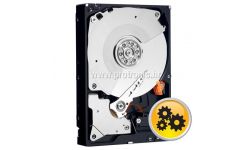 Tvrdi Disk WD Raid Edition 500GB WD5003ABYZ