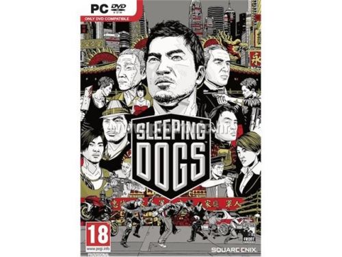 Sleeping dogs PC