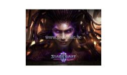 Starcraft II: Heart of the Swarm, PC